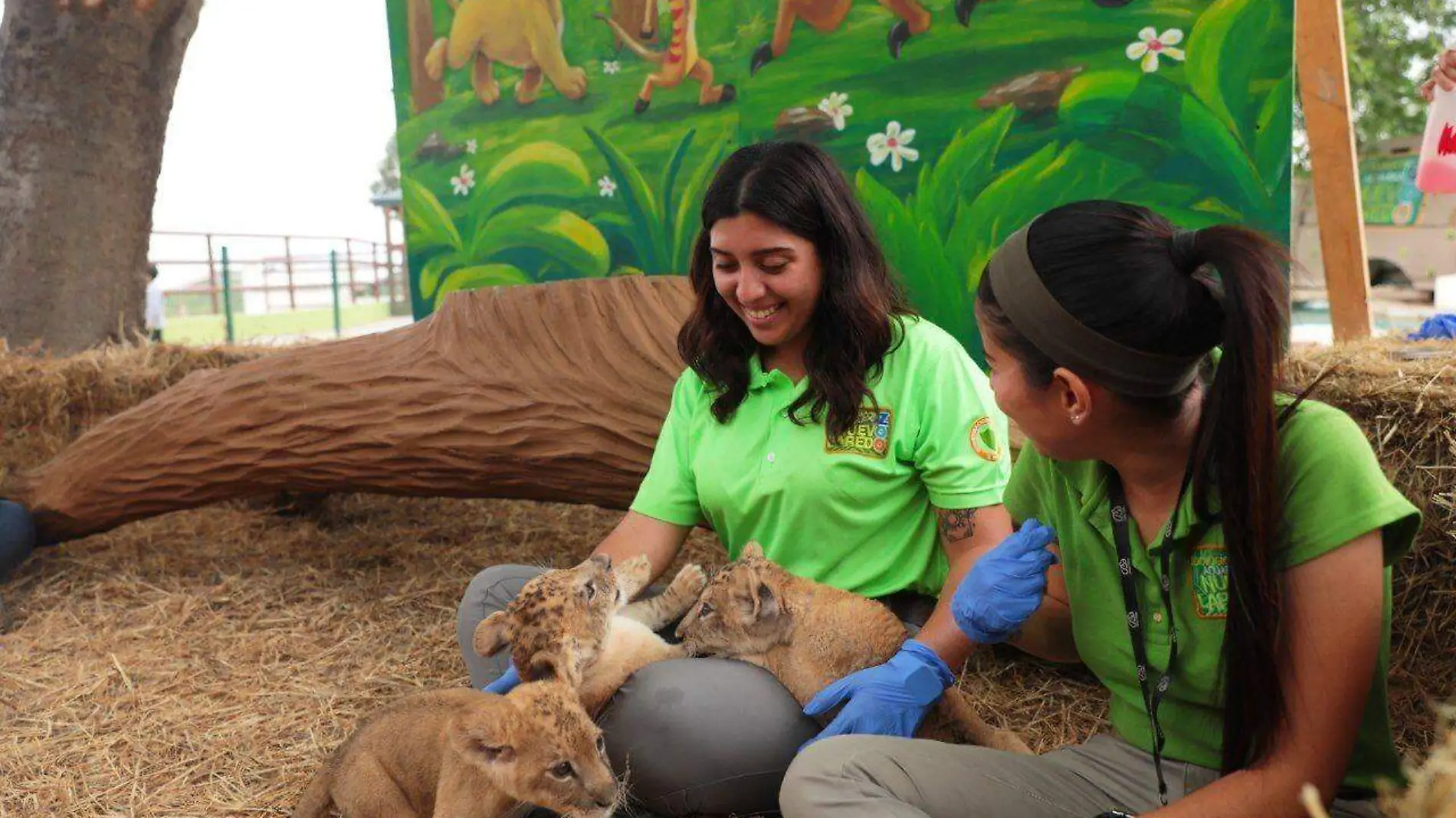 Zoológico de Tamaulipas abre convocatoria para programa de jóvenes voluntarios Gobierno de NLD (1)